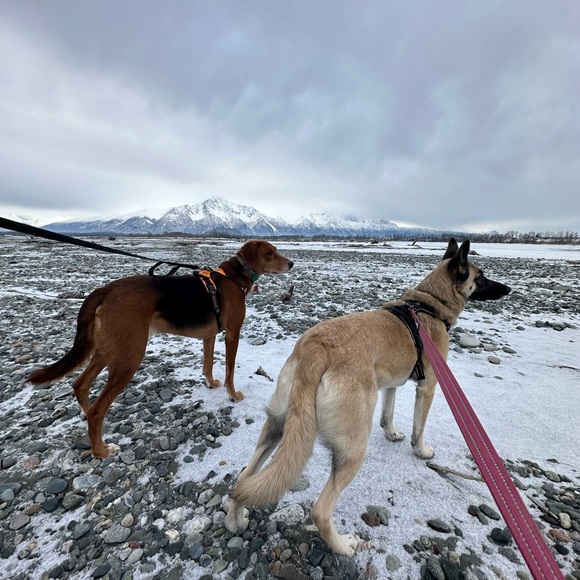 Meet your Posher, Wendy - Picture 6 of 10